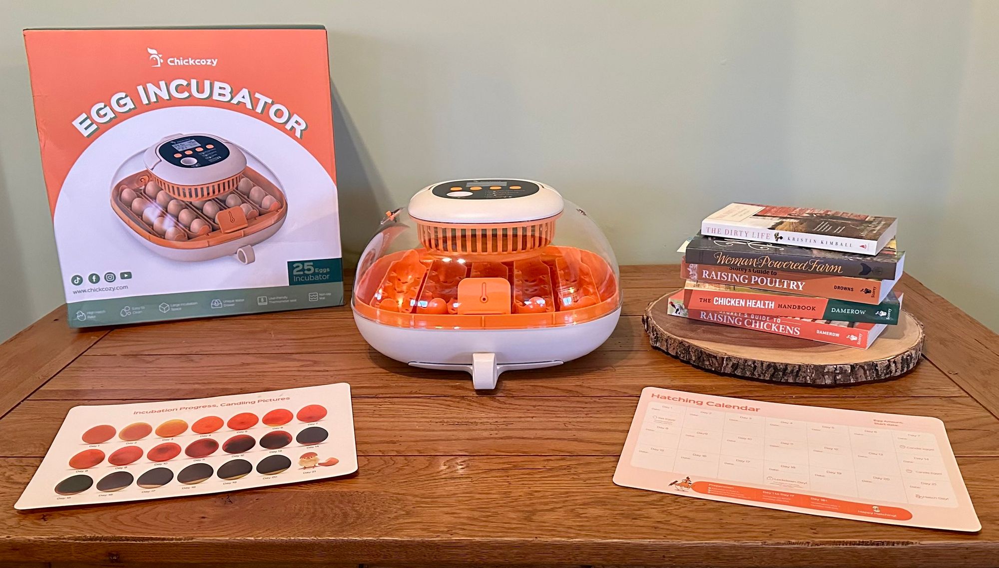 First Impressions: Chickcozy Egg Incubator