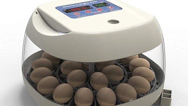 Review: Harris Farms Nurture Right 360° Egg Incubator