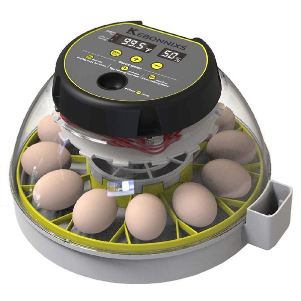 Review: KEBONNIXS 12 Egg Incubator