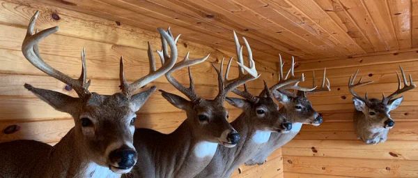 Setting Hunting Goals