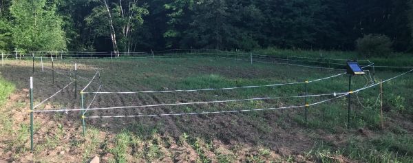 Are Dual-Perimeter Fences a Legit Strategy?