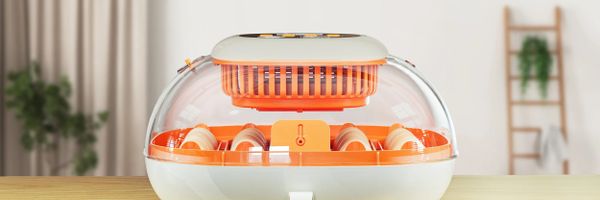 Review: Chickcozy Egg Incubator