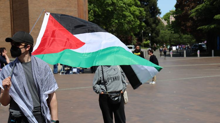 person with Palestine flag at UW