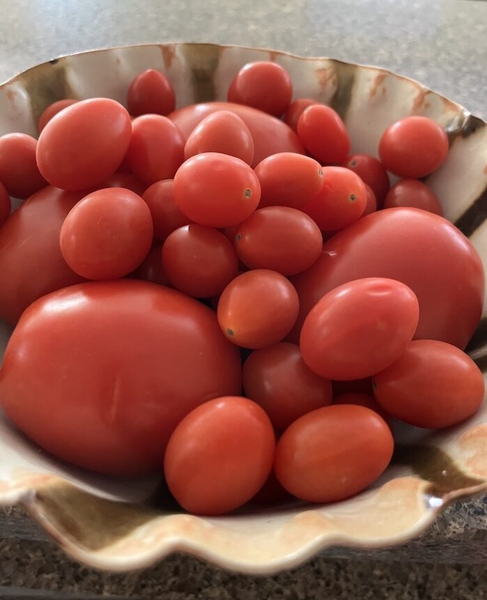 A bowl of tomatoes.