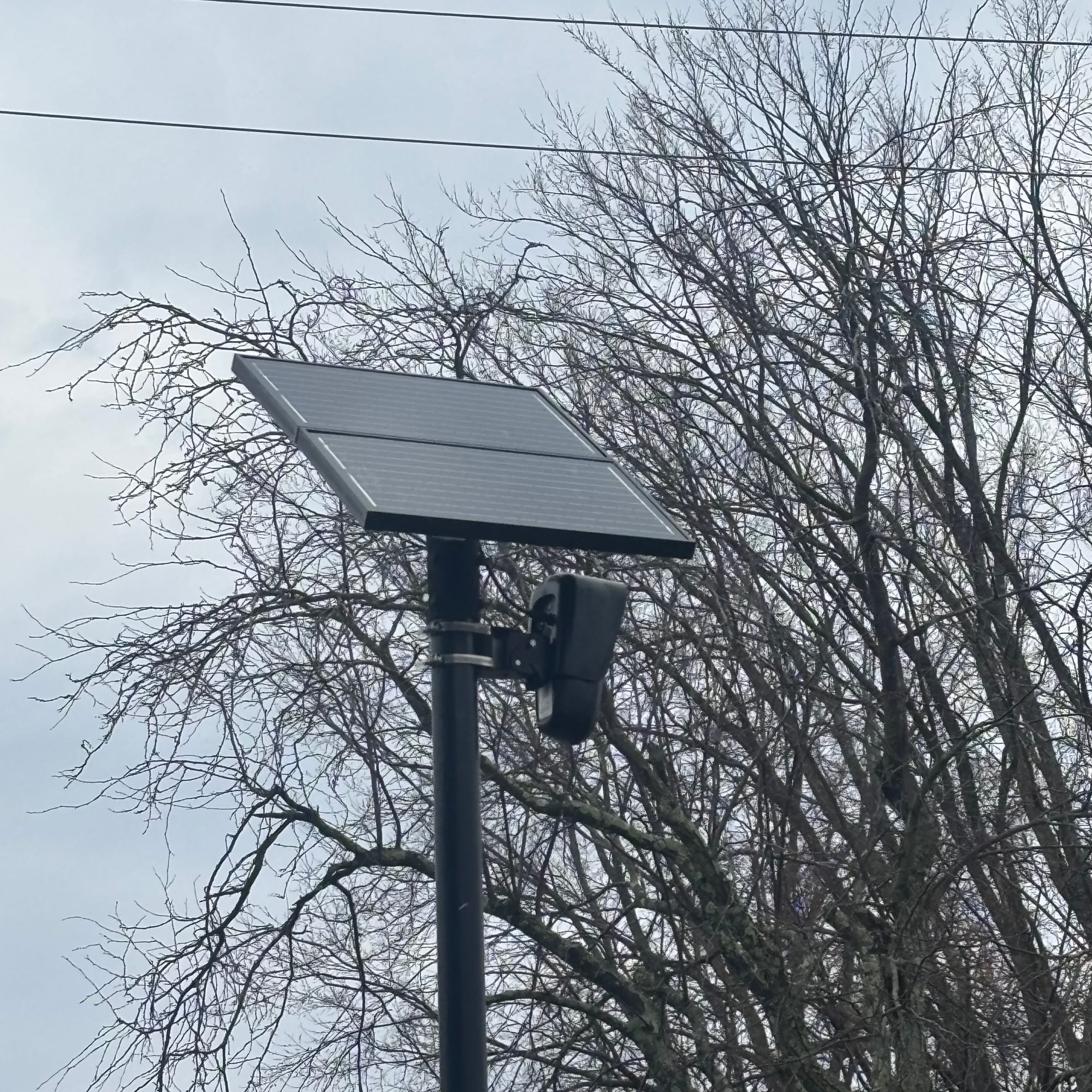 A solar-powered Flock camera in front of leafless trees.