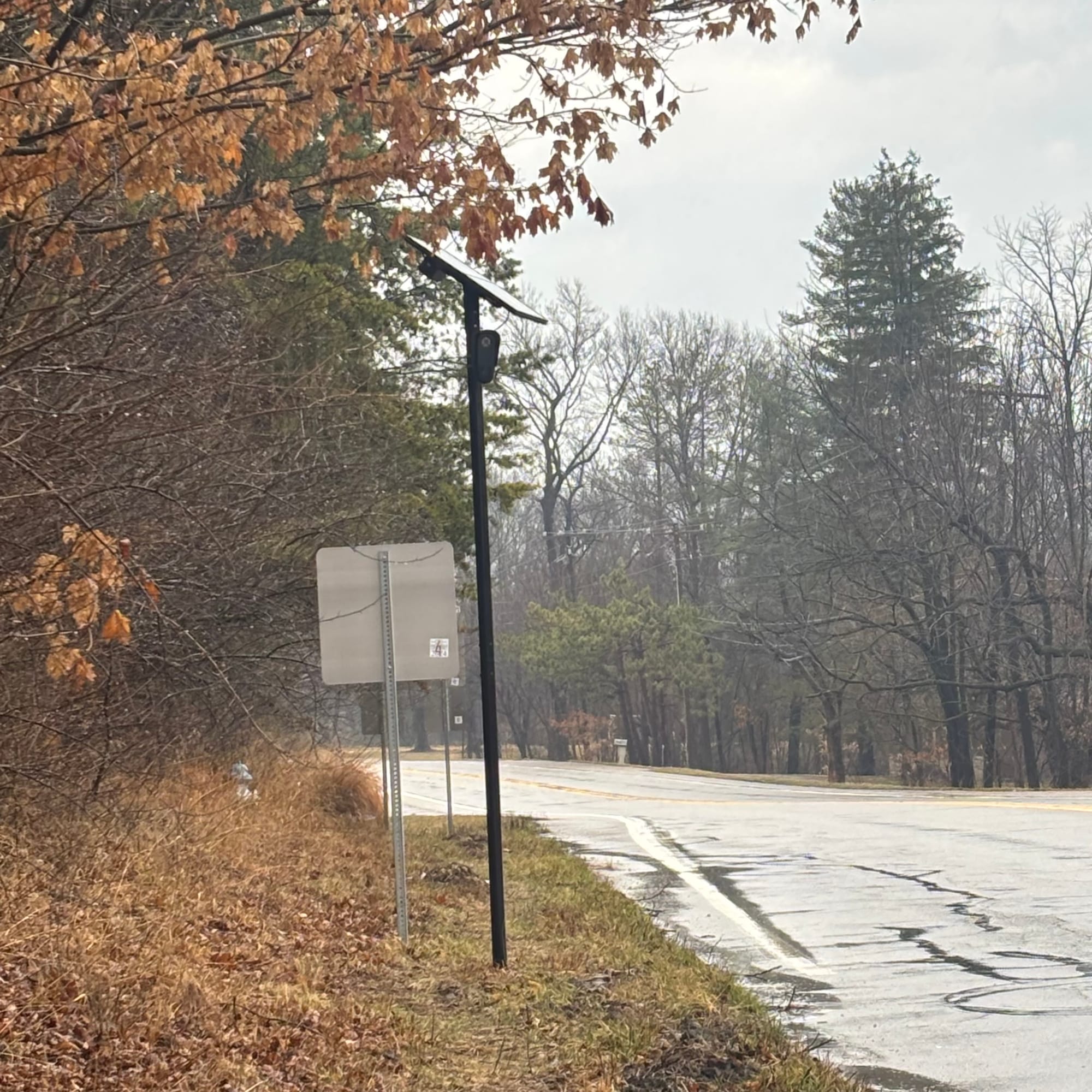 A Flock camera mounted on a black pole with a solar panel; a rain-soaked two-lane highway recedes into an autumnal fog beneath a mix of leafless deciduous and stark coniferous trees.