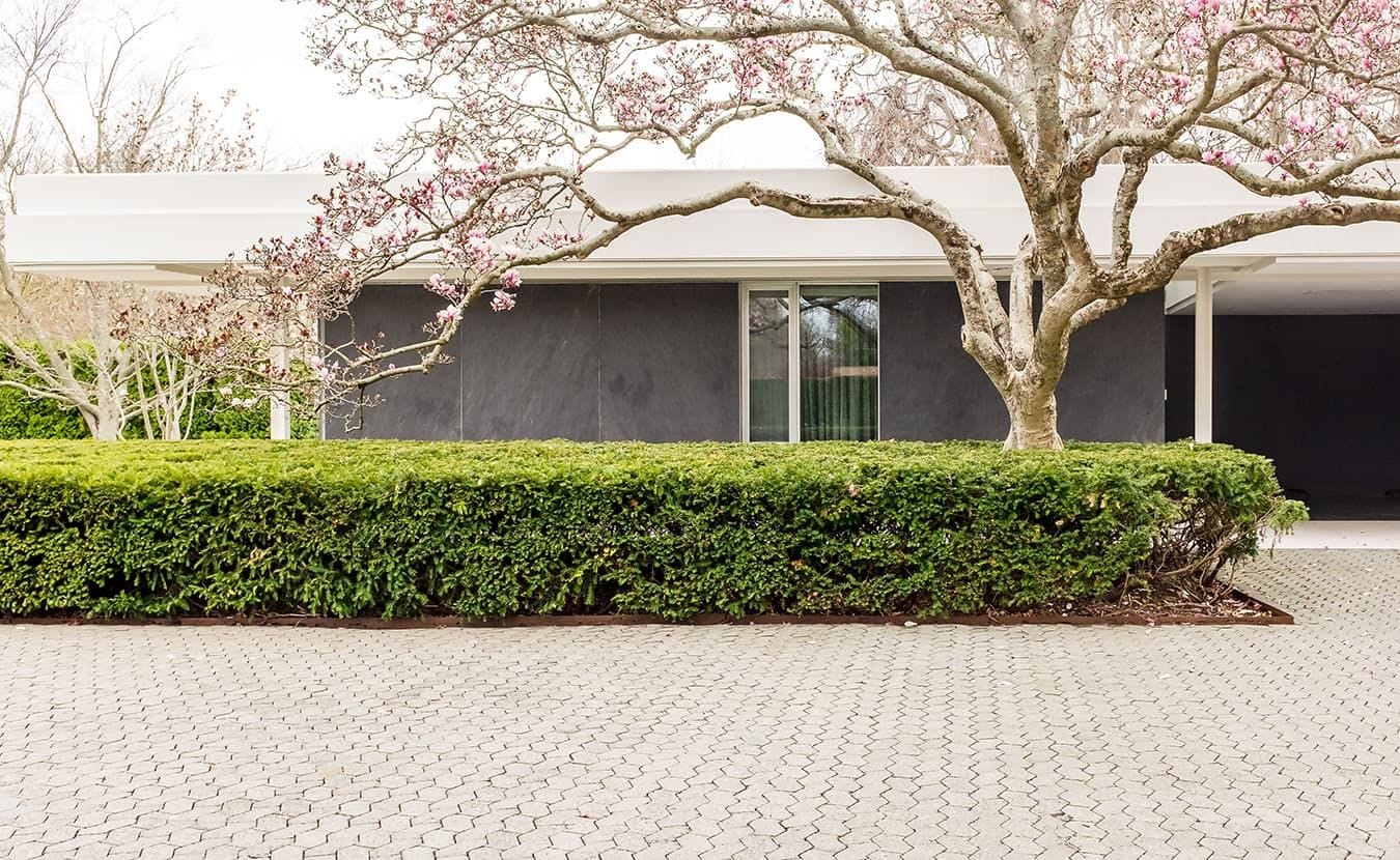 a flat, gray, white-roofed structure framed by a sprawling magnolia tree and square-trimmed evergreen bushes