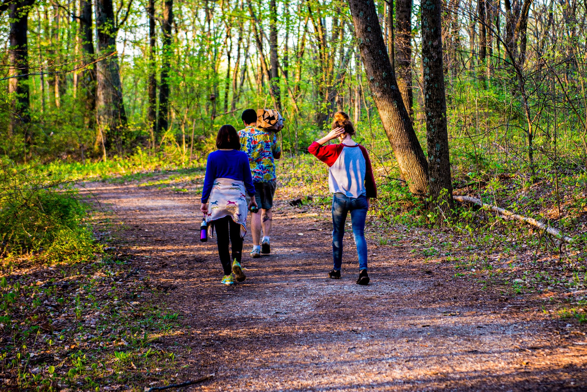 three young people walk along a flat woodland trail, one carrying a bundle of logs