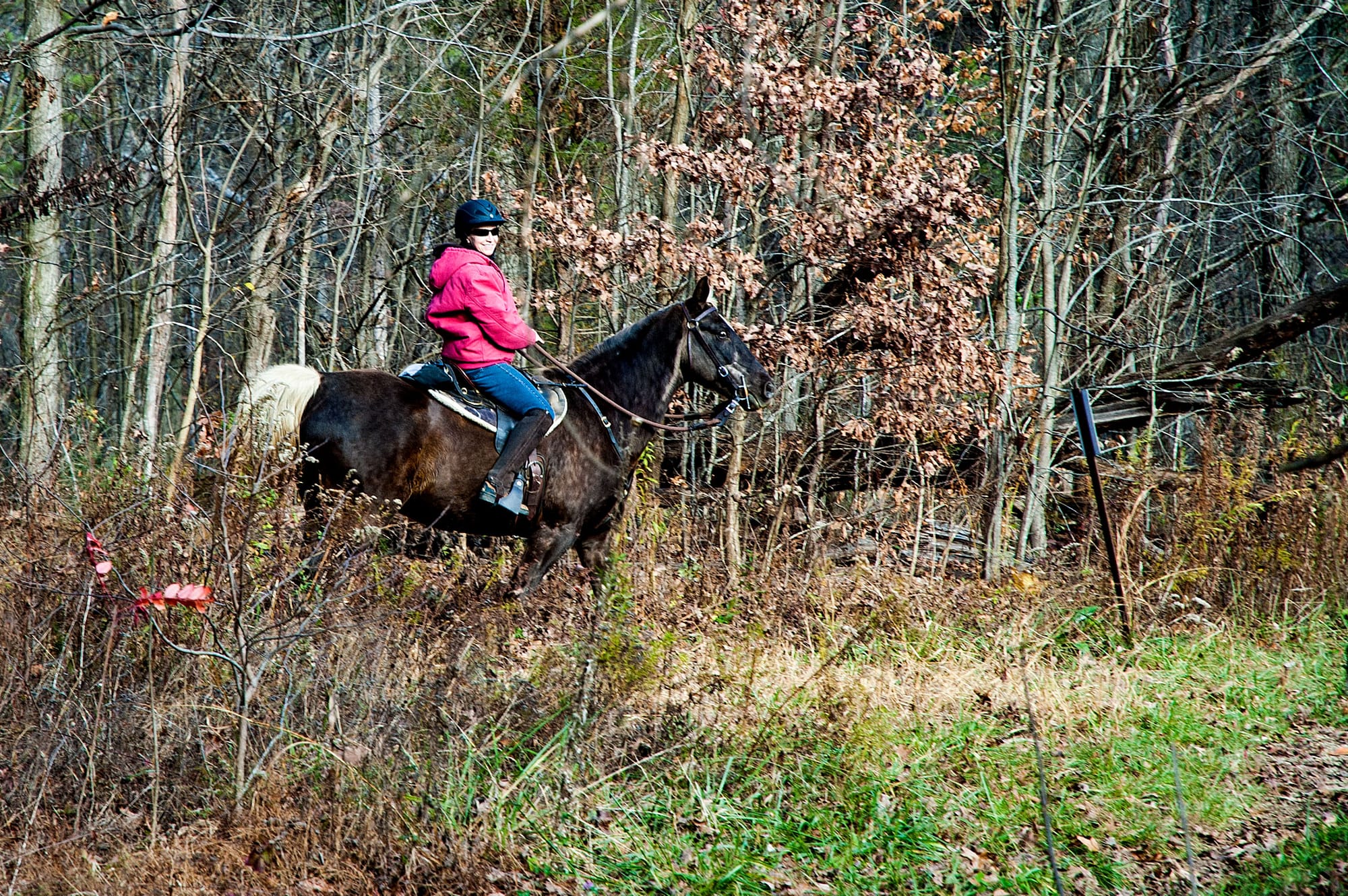 a woman wearing a helmet, sunglasses, a red coat, and blue jeans, rides a horse through a scrubby forest