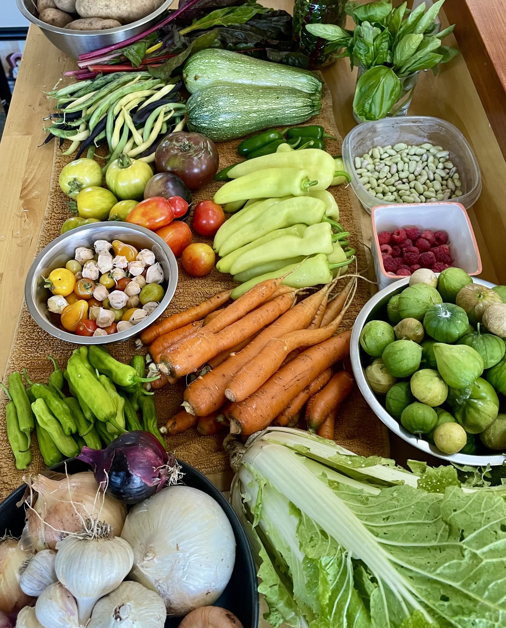 potatoes, rainbow chard, basil, zucchini, peppers, tomatoes, beans, raspberries, tomatillos, carrots, onions, and cabbage, all arrayed on a table