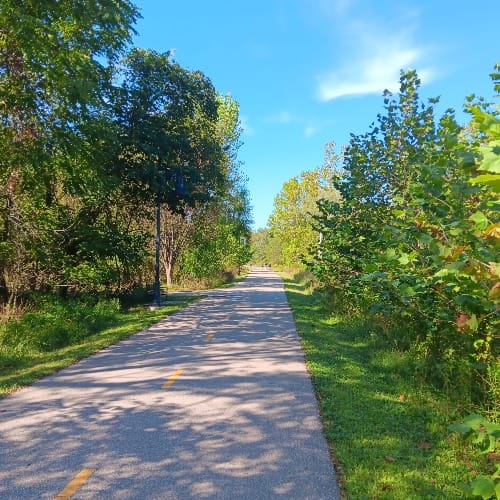 a sunlight-dappled paved trail through a wooded park