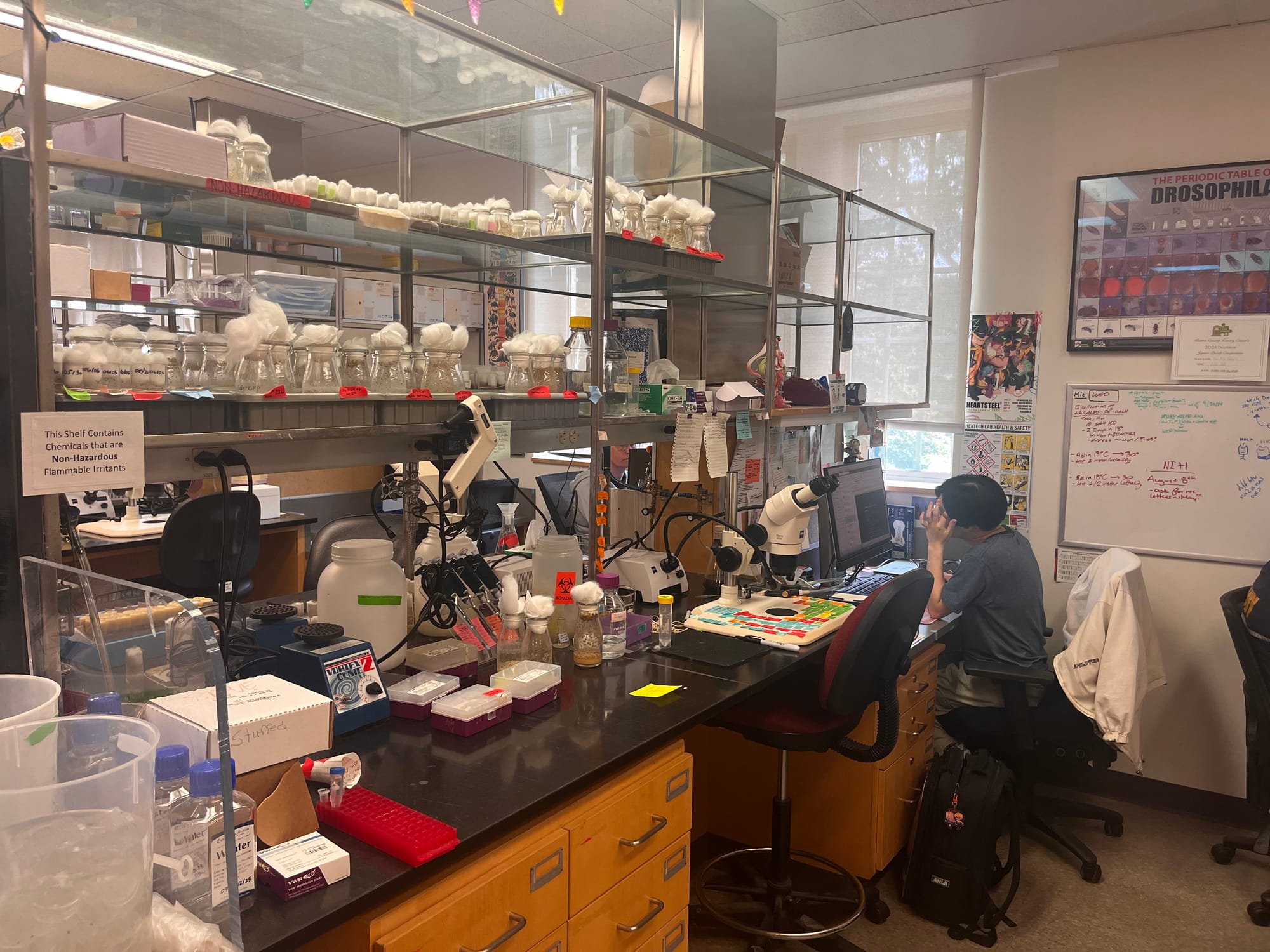 a young man sits at a computer desk in a biology lab. Beakers line the shelves, among microscopes and other implements