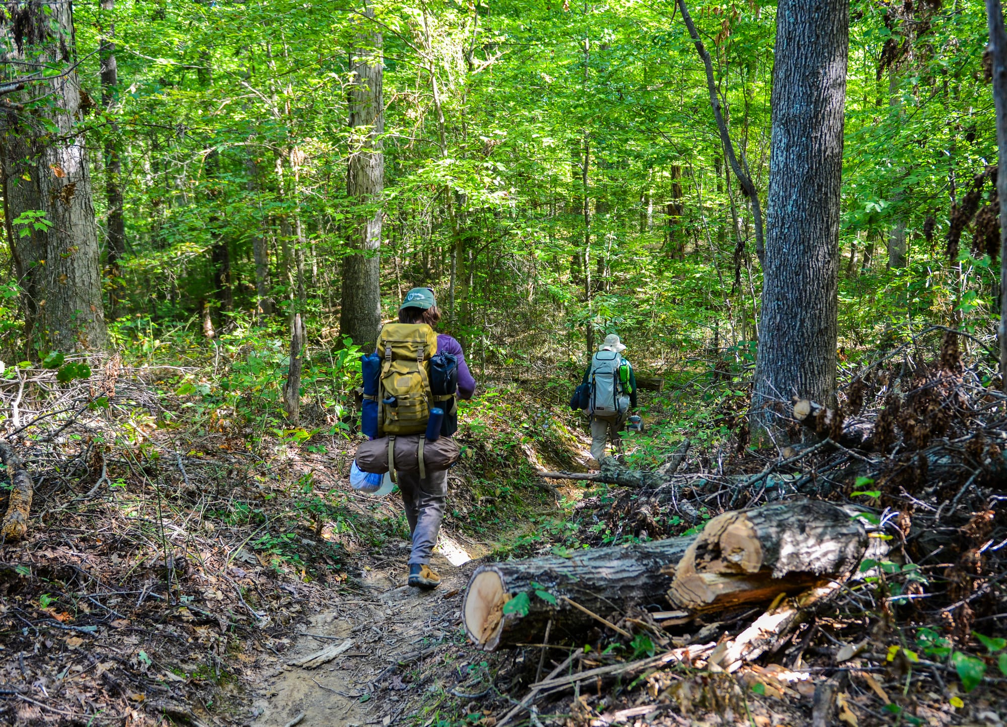 two hikers with full backpacks and other gear traverse a forest trail surrounded by fallen trees and stick piles