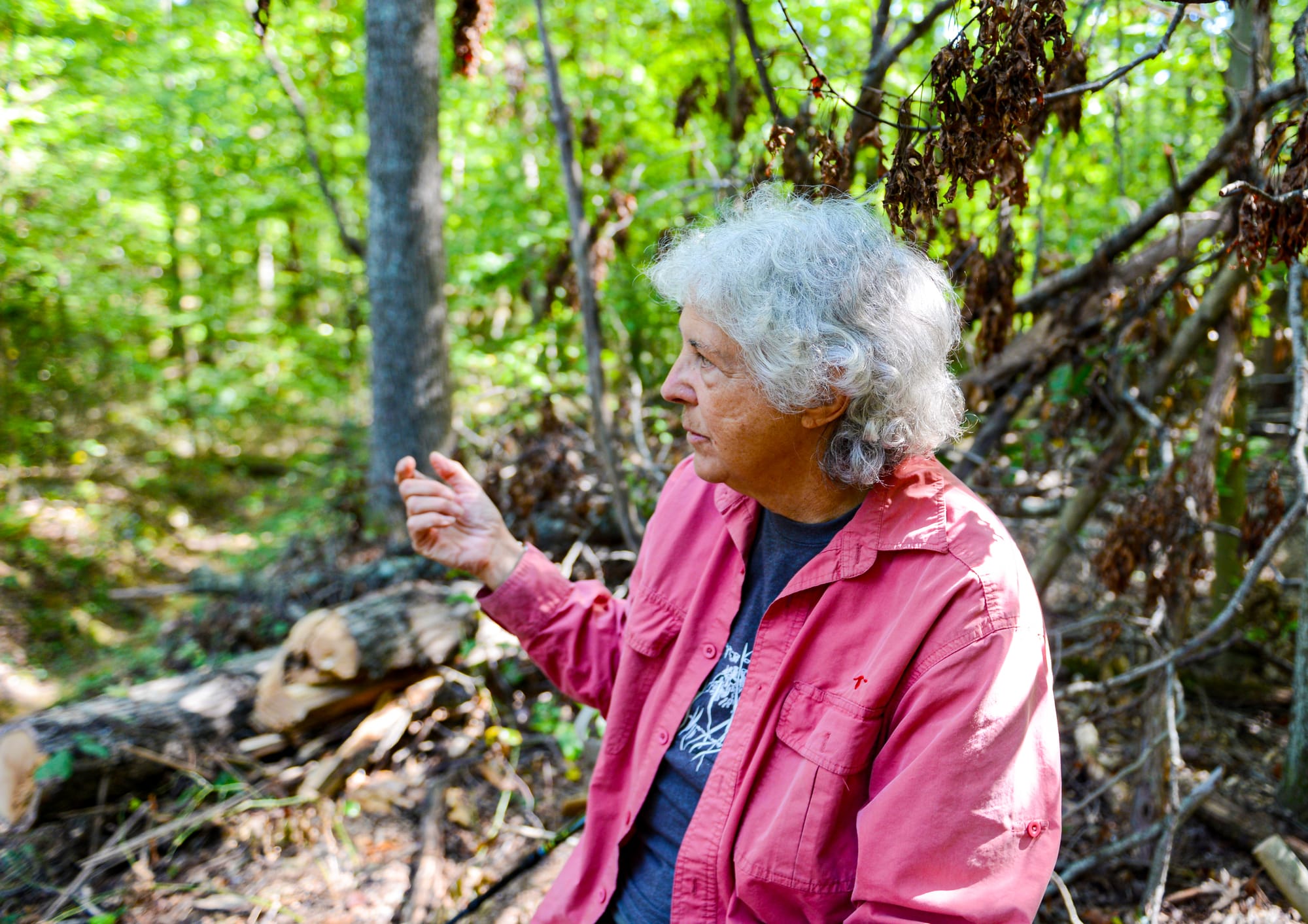 a grey-haired woman wearing a blue t-shirt under a pink long-sleeve shirt sits, gesturing with her right hand, beside a fallen tree in the forest
