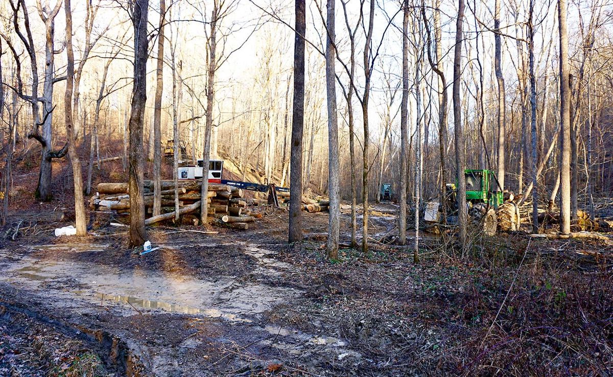 Where once there was a trailhead near Crooked Creek Road on the Tecumseh Trail, Matt Flaherty encountered logging equipment a