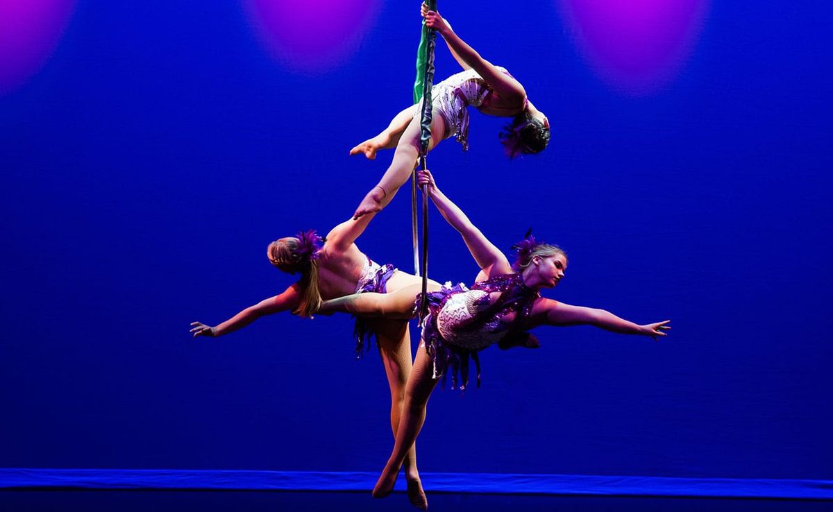 The graceful and mesmerizing aerial acrobats of AsaBela WINGS Aerial Academy will perform in both the matinée and evening Va-