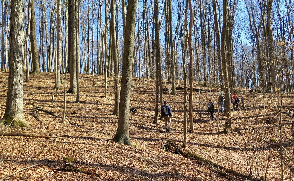 Hikers wander along the trails at Sycamore Land Trust’s Porter West. Writer Jonah Chester describes the preserve as a “diamon