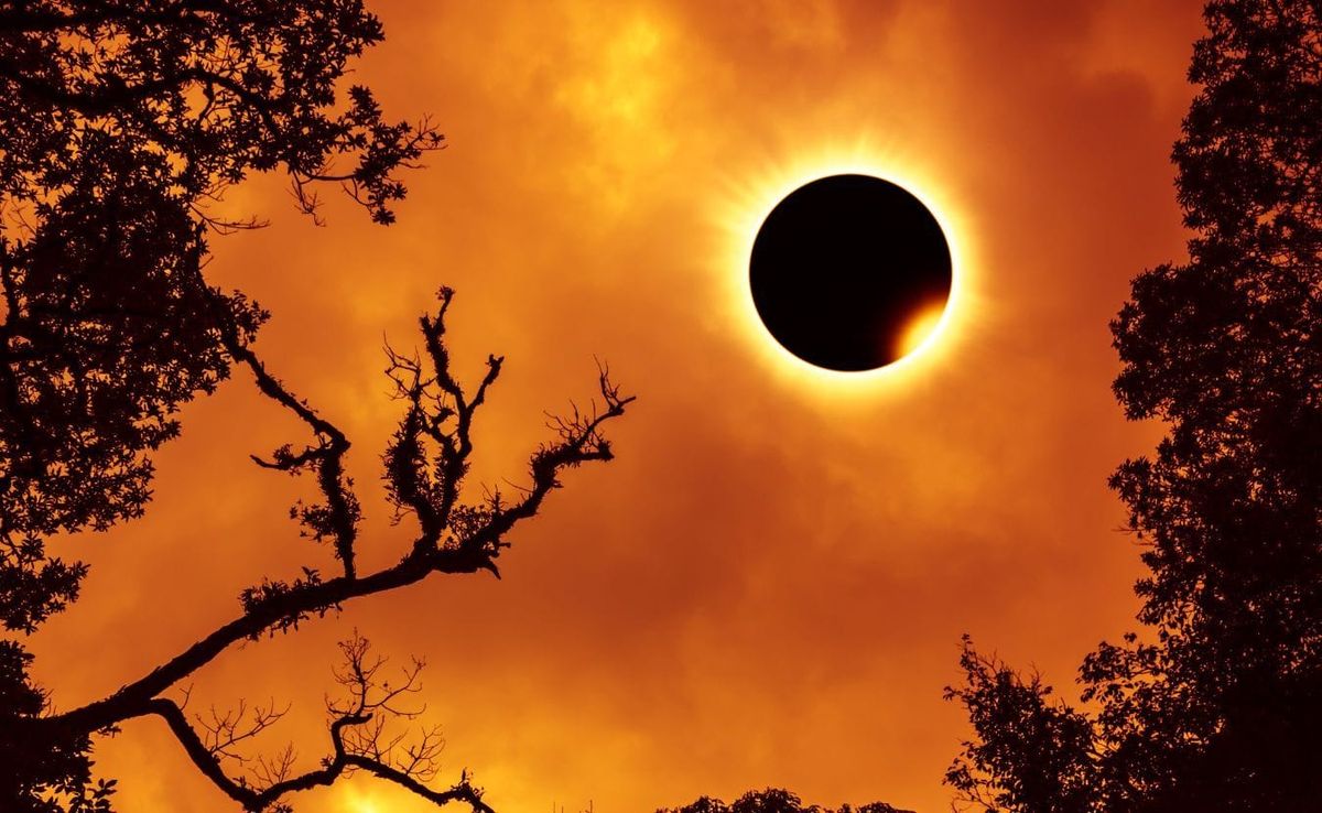 The total solar eclipse on April 8 is generating excitement across much of Indiana. Many people in Bloomington and neighborin