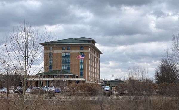 a brown brick hospital building looms against a grey, cloudy sky. Leafless trees fill the foreground; an American flag waves in front of the building