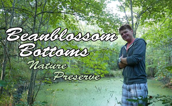 Image by Trent Deckard