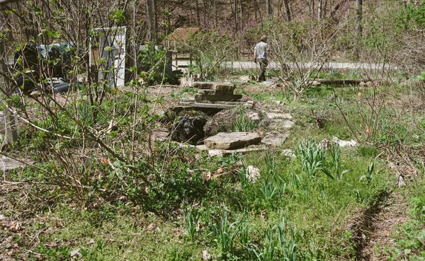 Permaculture, says writer Daniel Bingham, originated as an attempt to reshape industrial agriculture into sustainable ecologi
