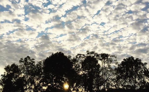 Since the 2016 election, few people concerned about climate change thought they could have meaningful discussions with climat