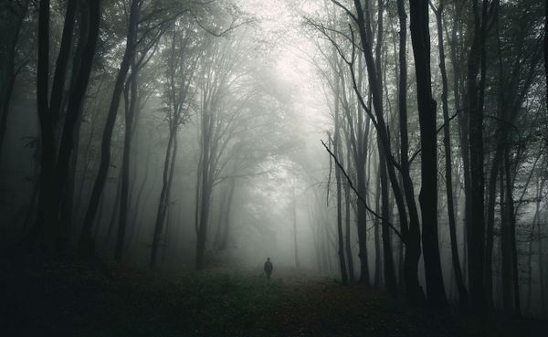 Ghost stories have been a part of Hoosier lore ever since there have been storytellers. Here are nine of Indiana's scariest s