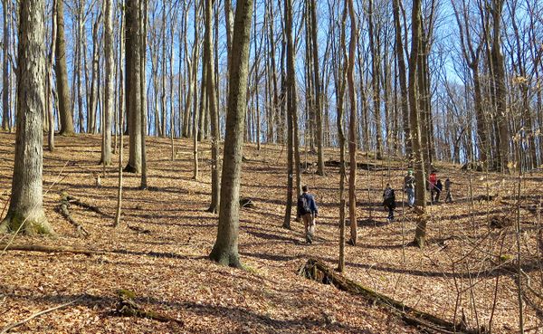 Hikers wander along the trails at Sycamore Land Trust’s Porter West. Writer Jonah Chester describes the preserve as a “diamon