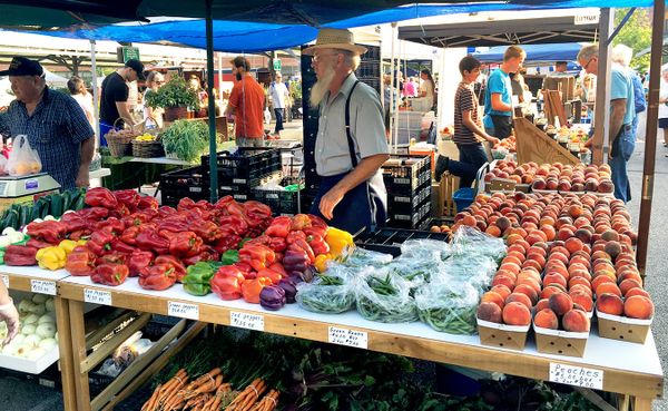 Buying from local farmers is a sure way to avoid foods from who-knows-where and grown with who-knows-what chemicals. And ther