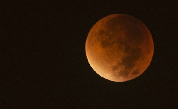 WonderLab After Dark: Blood Moon — The Moon, the Myth, the Mystery