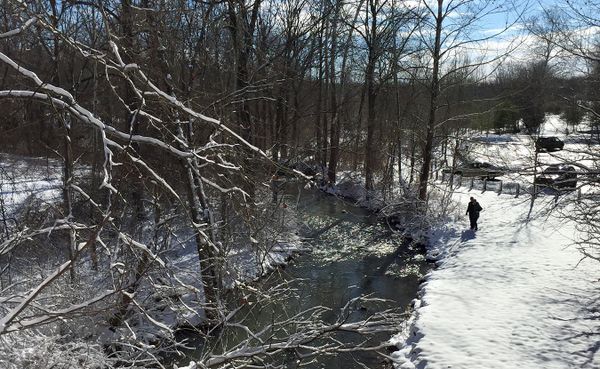After January’s polar vortex gives way to February’s cold, gray weather, it might seem like spring will never arrive. But don