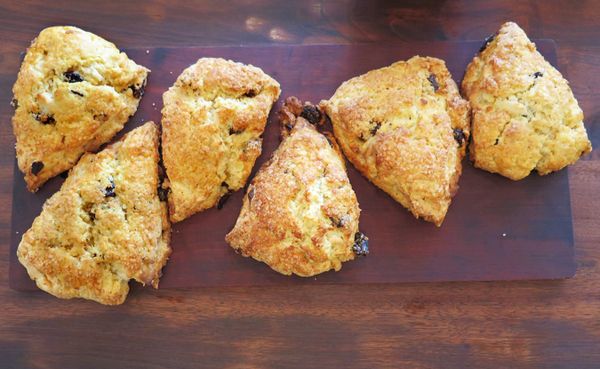 For many, suppressing the feeling of hunger with restrictive diets only leads to more-intense levels of hunger, writes Amanda