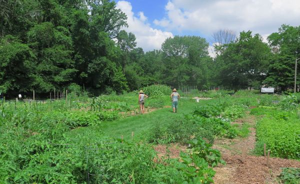 Thinking about planting a garden? Beth Edwards, a writer and producer for the Indiana Environmental Reporter, has written abo