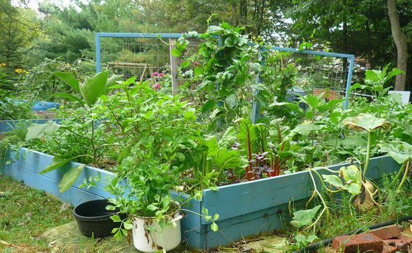 Creating gardens that are resilient to the vagaries of Indiana weather, says gardener and writer Jami Scholl, requires workin