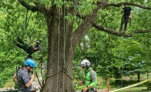 Housing advocates and officials are trying various tactics to address the affordable housing problem in Monroe County. Most s