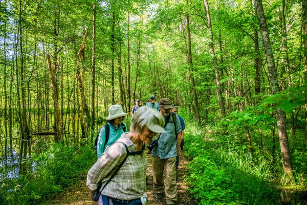 Journalist Steven Higgs “trained” at Beanblossom Bottoms Nature Preserve for a photographic expedition to the Colombian Amazo