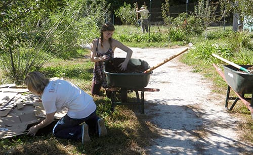Fall Work and Learn Day tasks include mulching tree roots to protect and insulate them from cold weather. | Photo courtesy of Bloomington Community Orchard