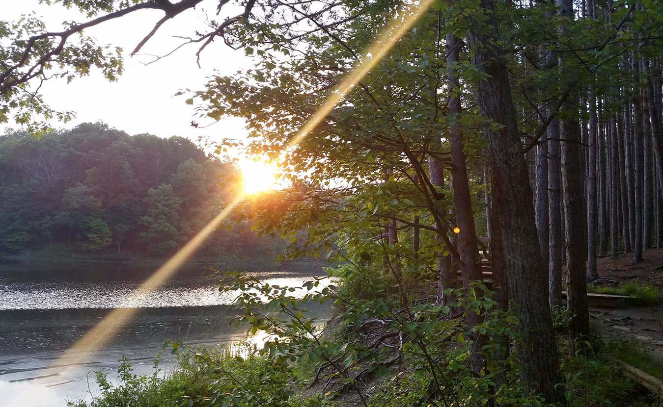Running Trails