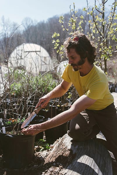 Local permaculturist Salem Willard tends to plants for Bread & Roses Nursery. | Photo by Natasha Komoda
