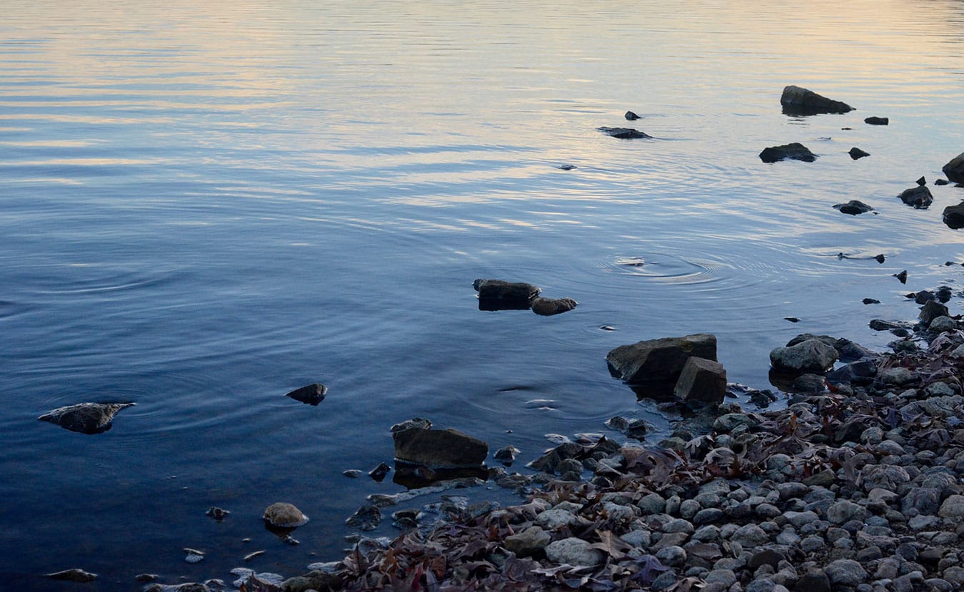 The city’s water quality reports have yet to show unacceptably high levels of DBPs, which have remained lower than the EPA’s danger levels for the substances. | Photo by Lynae Sowinski