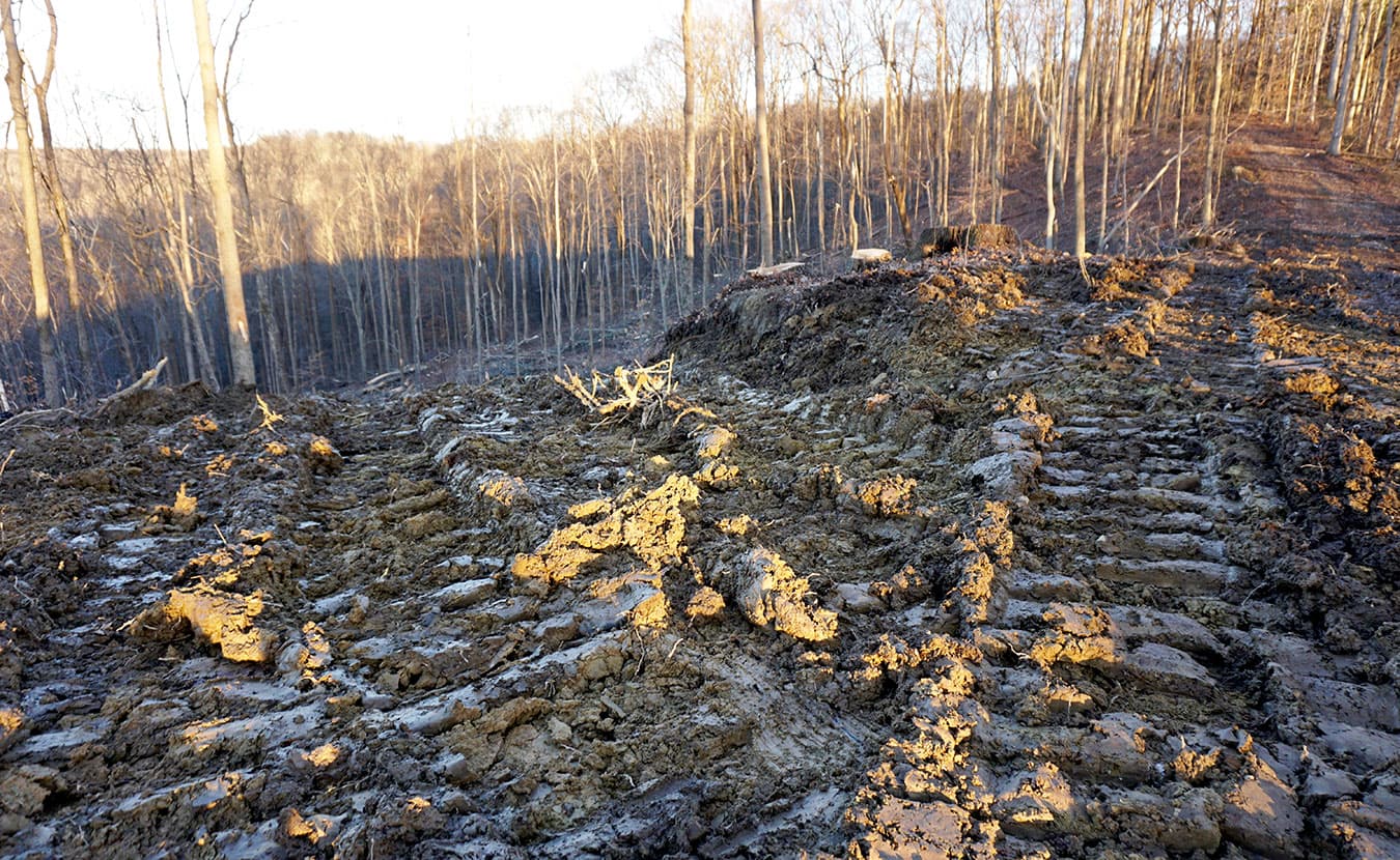 Instead of singletrack trail, Flaherty encountered rutted tire tracks and new clearings near the end of the Tecumseh Trail. | Courtesy photo