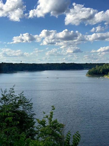 “We are especially concerned about any proposed logging along the shoreline,” says Sherry Mitchell-Bruker, founder of Friends of Lake Monroe. | Limestone Post