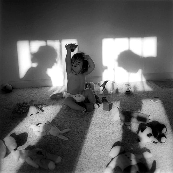 "Morning Light," Bloomington, Indiana, 1999, from the series Kai: Following the Cycle of Life. | Photo courtesy of Osamu James Nakagawa