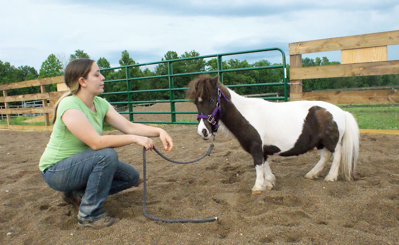 From head to hoof, People & Animal Learning Services (PALS) therapy horse Daisy Mae stands a full 2 feet 4 inches tall. Shown here with a PALS team member in a photo from Sierra Vandervort's story "Daisy Mae, PALS Tiny Animal Ambassador," Daisy Mae often visits nursing homes, recreation centers, schools, therapy centers, and more, in addition to working with clients in the PALS Horsemanship Program. | Photo by Sierra Vandervort