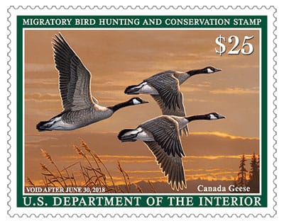 The federal duck stamp can be found at post offices and refuges. It raises money for migratory waterfowl.