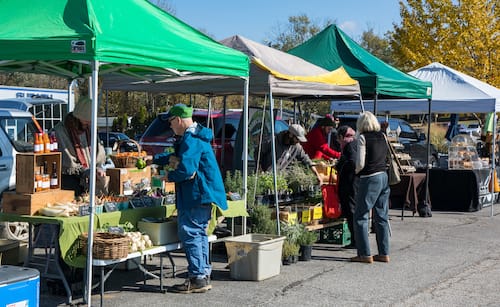 Ellen Wu wrote an article for LP this year about the People’s Market — a new farmers market in Bloomington that focuses on food justice and mutual aid — and how it was adjusting to the coronavirus pandemic. | Photo by Andrew Grodner