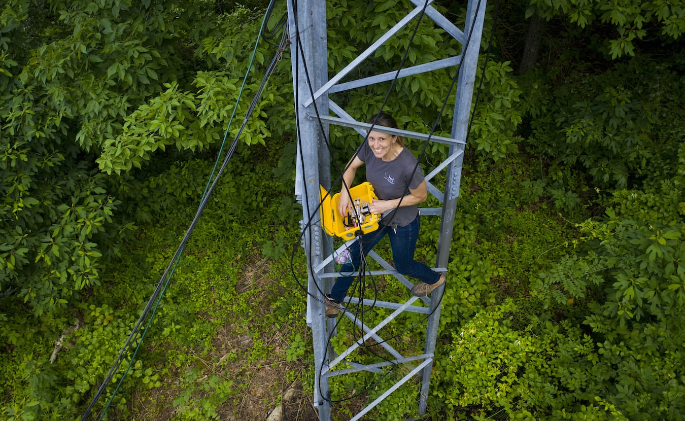 Allison Byrd, a research assistant in the Indiana University Environmental Resilience Institute, checks the Motus Wildlife Tracking System on a tower at T.C. Steel State Historic Site near Nashville, Indiana, in 2019. More than 1,000 Motus radio-telemetry towers in 31 countries track small animals, including birds. The data is disseminated to researchers worldwide. | Courtesy photo