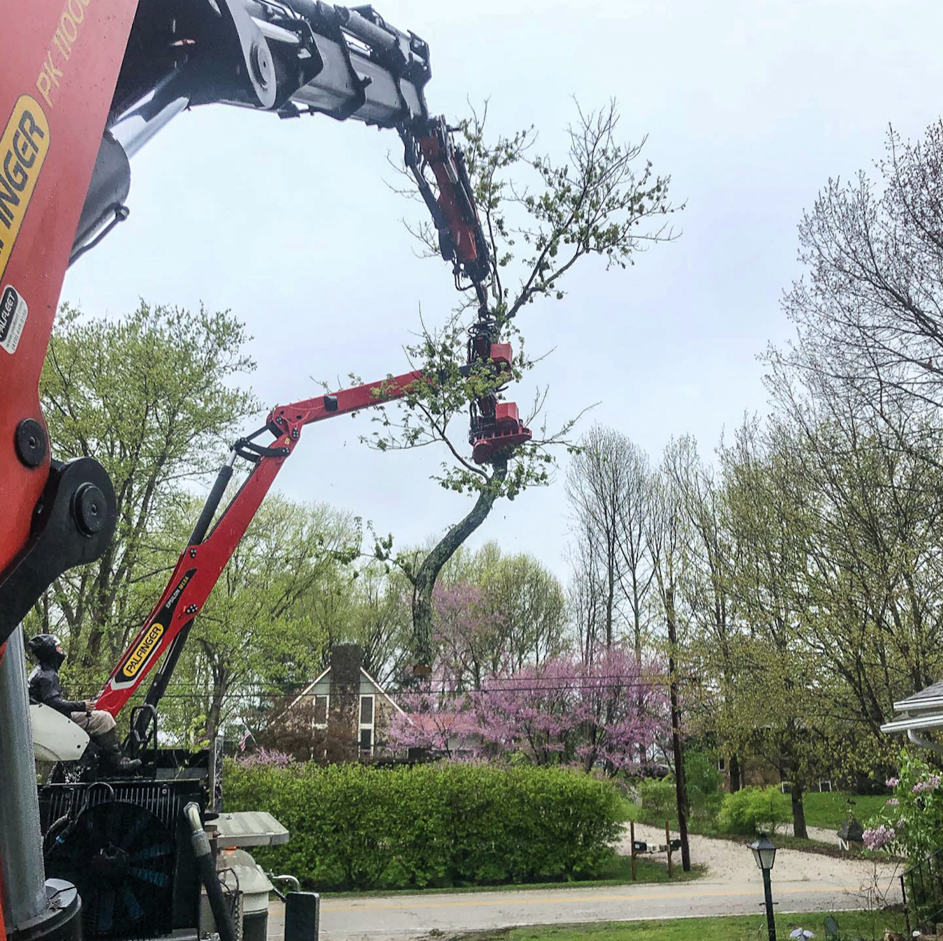 Using multiple cranes protects the removal area from impacts of tree felling. 