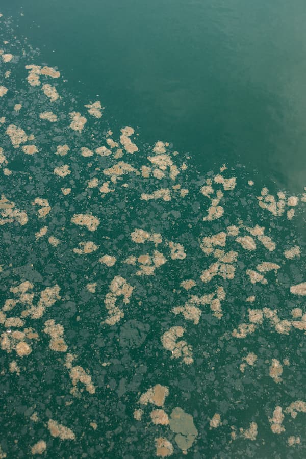 Floc floats to the top of the water to be removed during the purifying process at the South Shields Road Water Treatment Plant. Floc consists of clay soil particles, algal cells, organic chemicals, and anything else floating in the water. | Photo by Anna Powell Denton