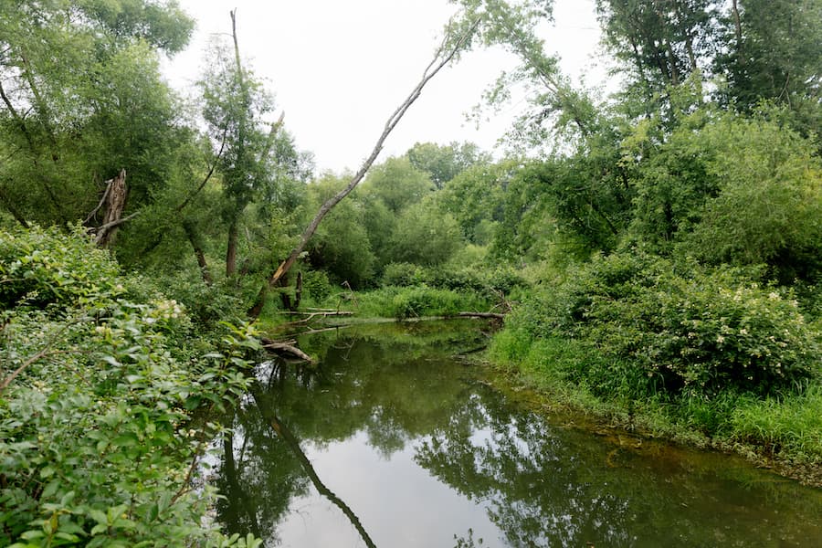 Groundwater anywhere in the 441 square miles of the Lake Monroe watershed, including Moore’s Creek (above), eventually makes its way into the lake. | Photo by Anna Powell Denton